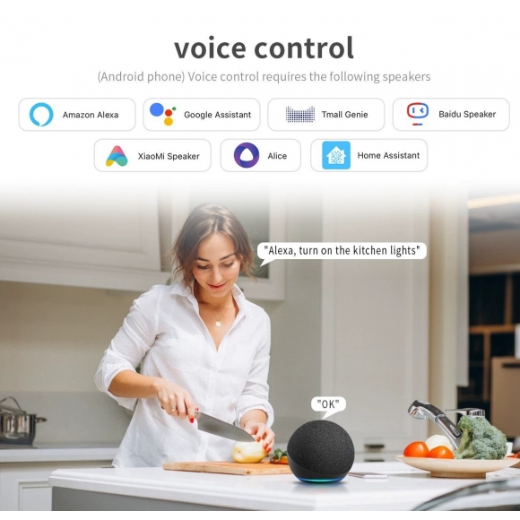智能電控玻璃開關-Homekit直連